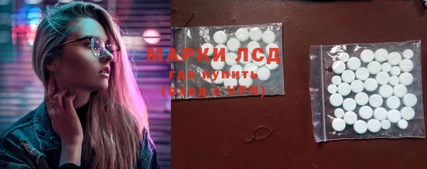 стаф Дубовка