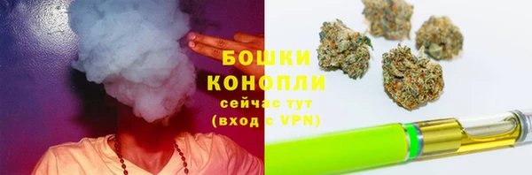 стаф Дубовка