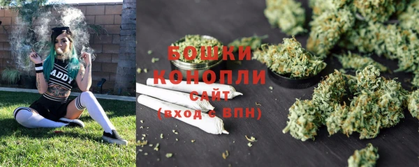 стаф Дубовка