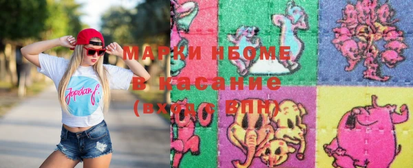 стаф Дубовка