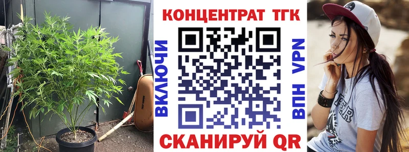 Дистиллят ТГК концентрат MEGA ссылки Ртищево купить закладку