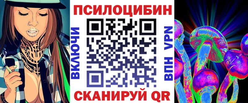 магазин продажи наркотиков  Ртищево  Галлюциногенные грибы Magic Shrooms 