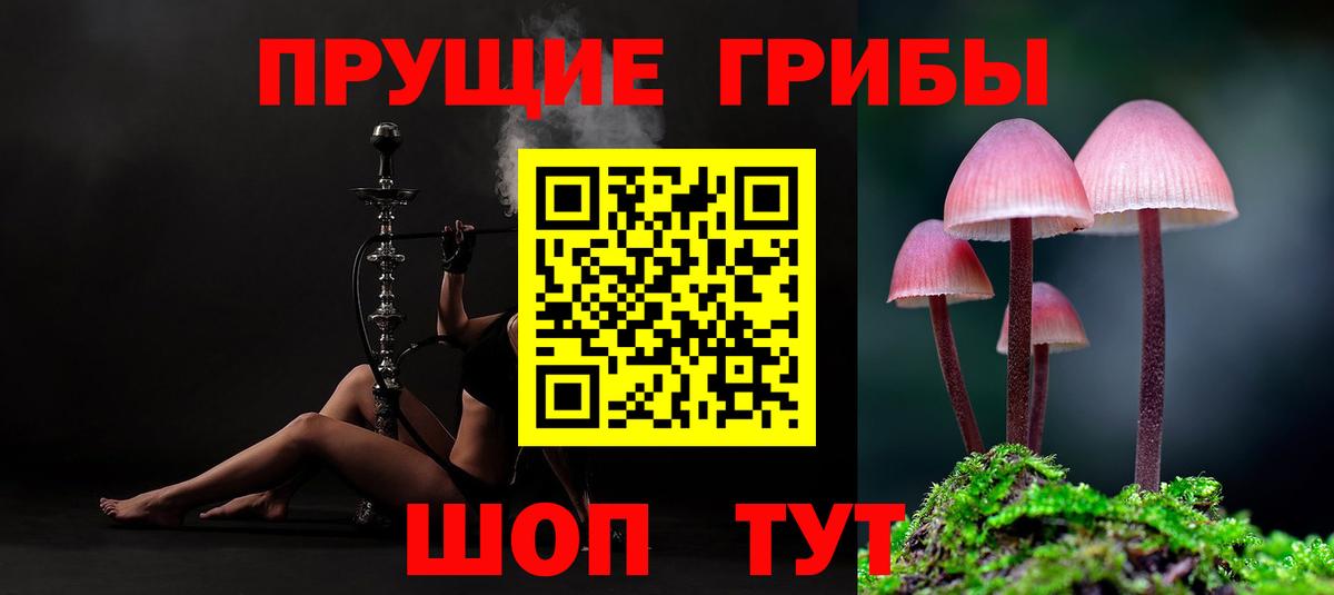 где можно купить наркотик  Псилоцибиновые грибы GOLDEN TEACHER  Вход с VPN  Ртищево 
